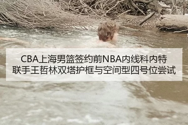 CBA上海男篮签约前NBA内线科内特联手王哲林双塔护框与空间型四号位尝试